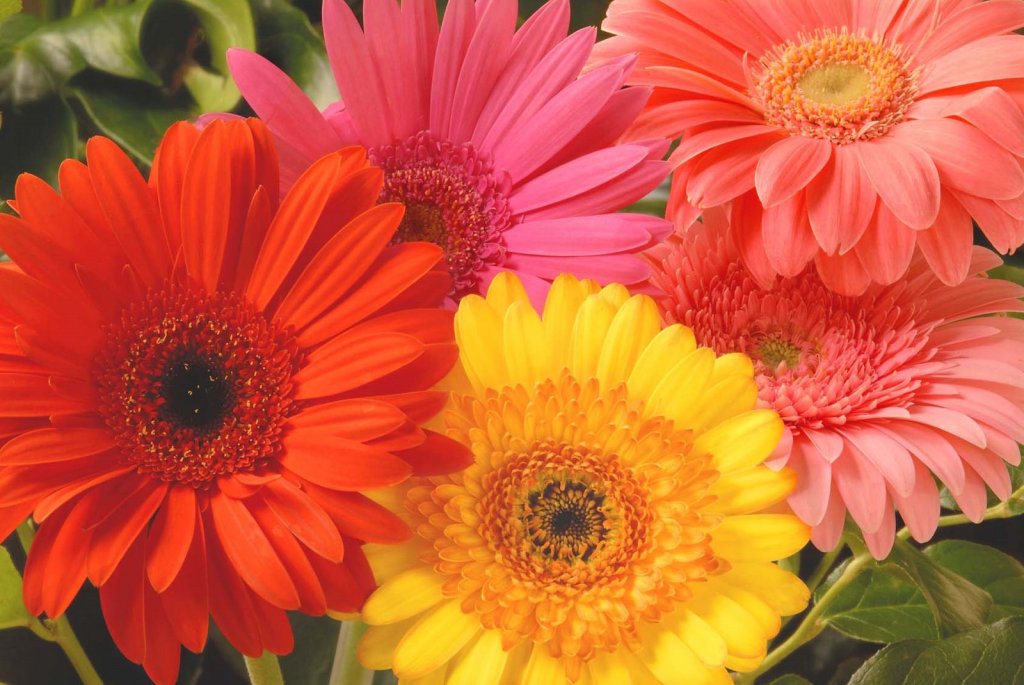 A Sunday (20) in the Life of a Pastor/Mother: Mother’s Day