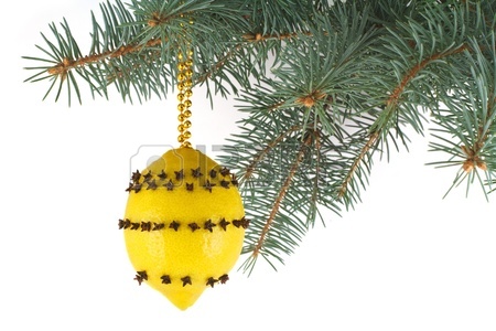 16755289-lemon-with-cloves--christmas-toy