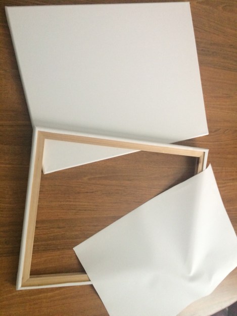 We used inexpensive canvas frames and cut out the canvas material.