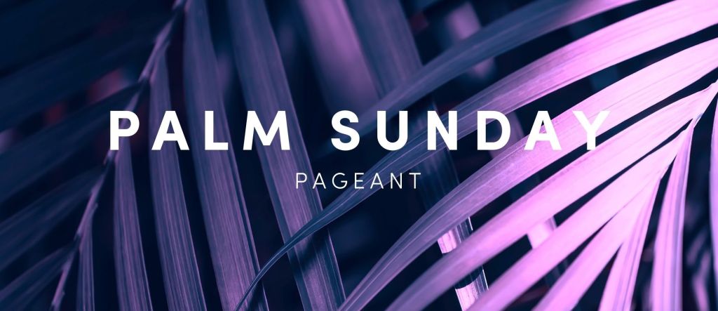 Palm Sunday – Tale of Three Trees